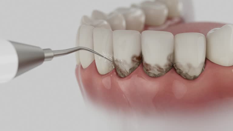 Reliable Dental contractor in Liberty Lake, WA by Dentist Open Now